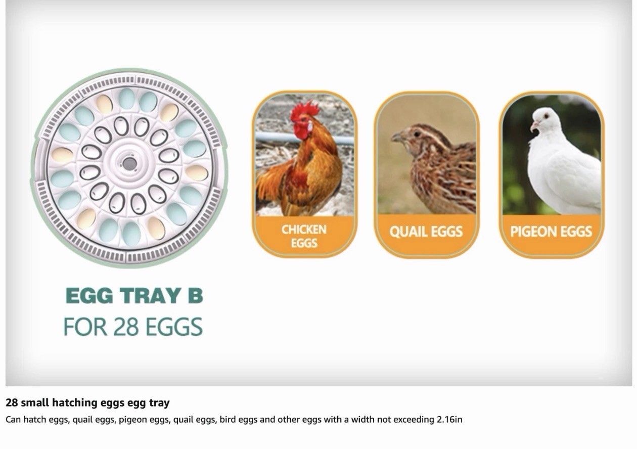 MeeF incubators for Hatching Eggs Automatic 30 Eggs Incubator with Tur