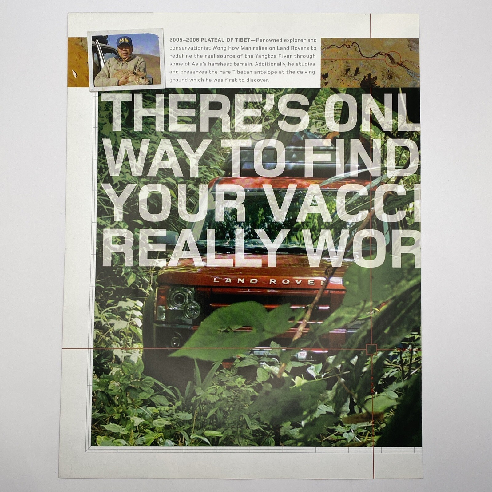 2008 Van Cleef & Arpels PRINT AD Snowflake Diamond Necklace Field Red Roses Rise