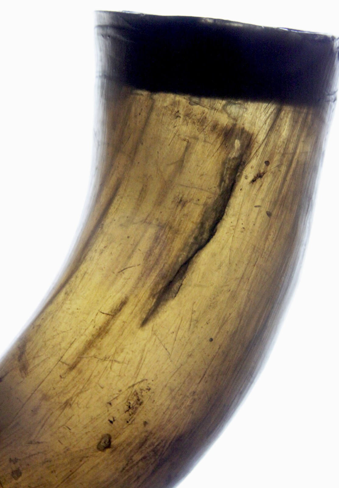 Antique 19th Century American Translucent Cow Horn Powder Horn Flask Old