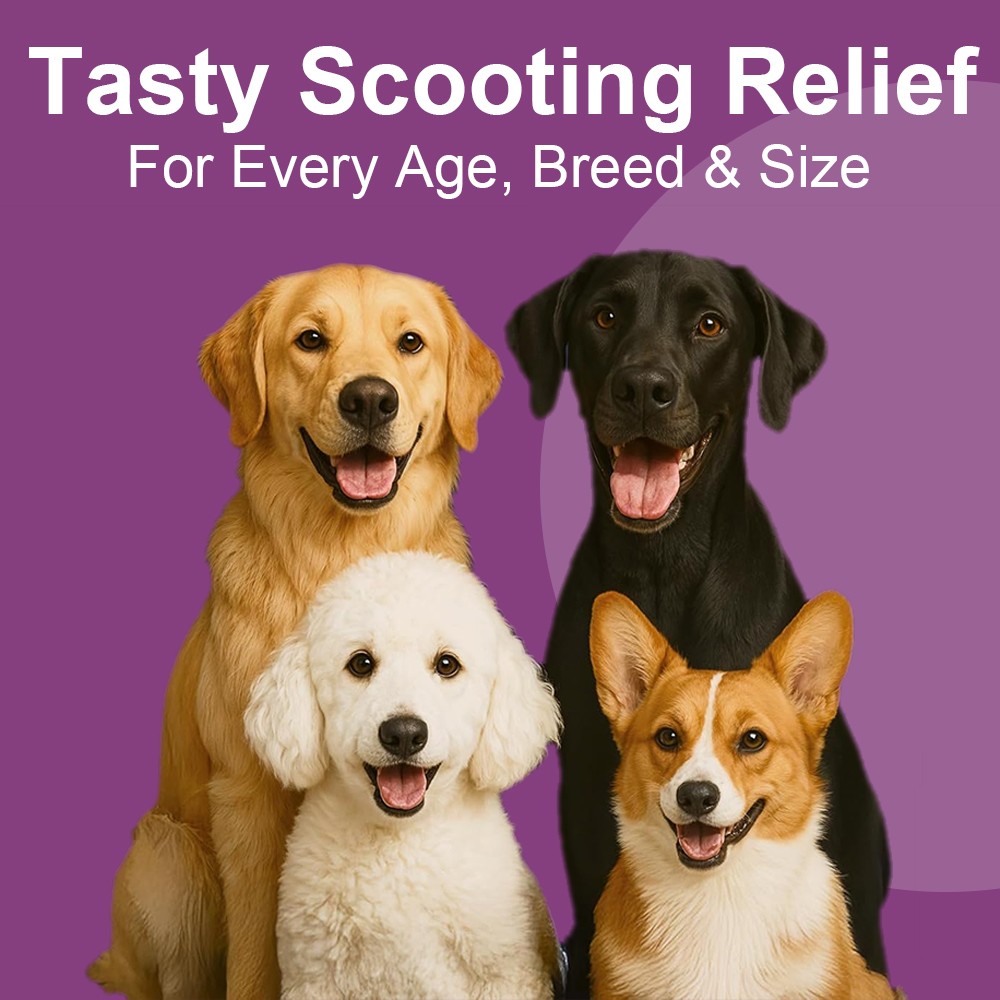 150 Soft Chews of Pumpkin + Anal Gland Support Supplement for Dogs No Scoot