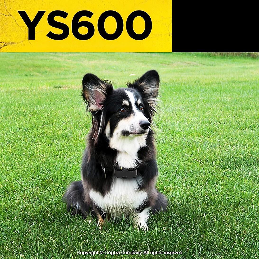DOGTRA YS600 No Bark Stubborn Dog Collar Barking Control