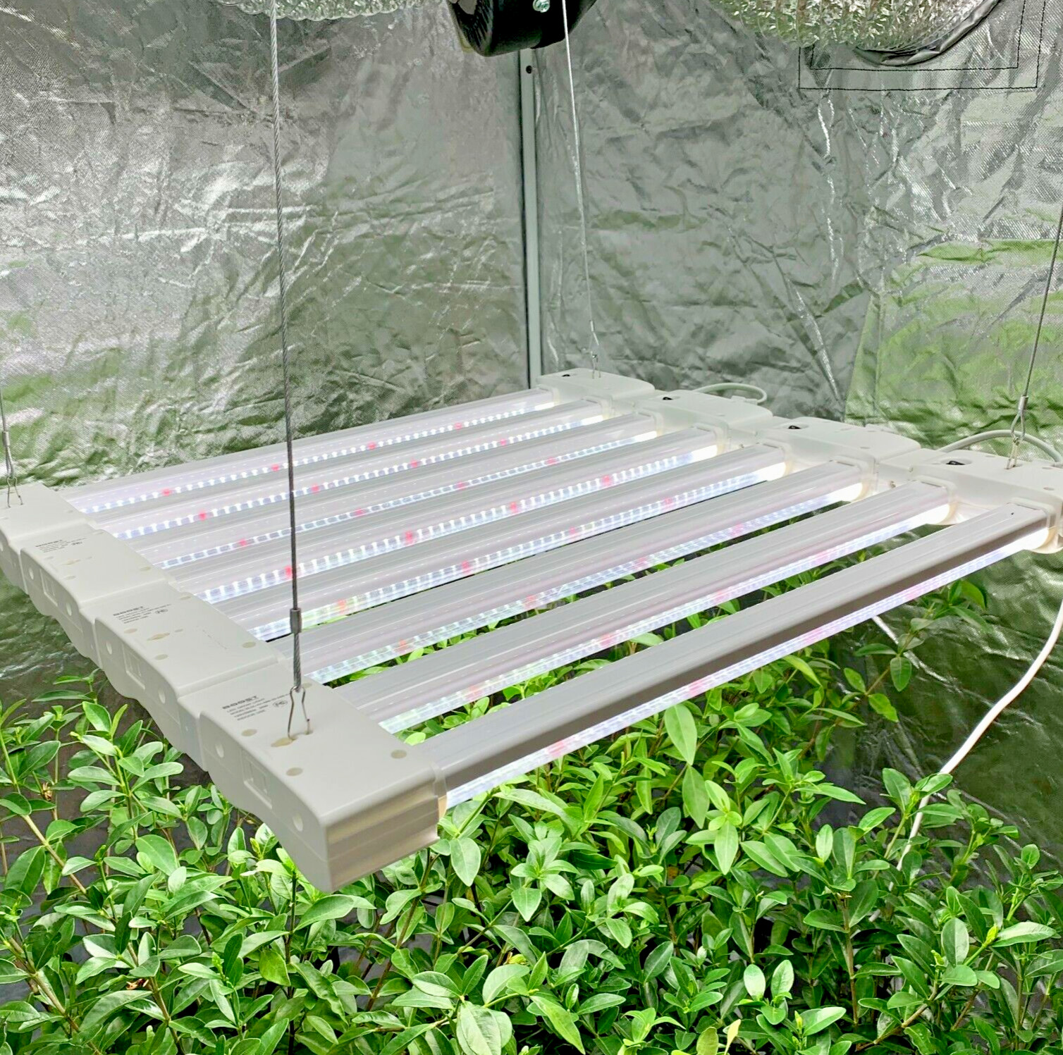 LED Grow Light Full Spectrum 4-in-1 Linkable Seedling Veg Hydroponic Grow Lamp