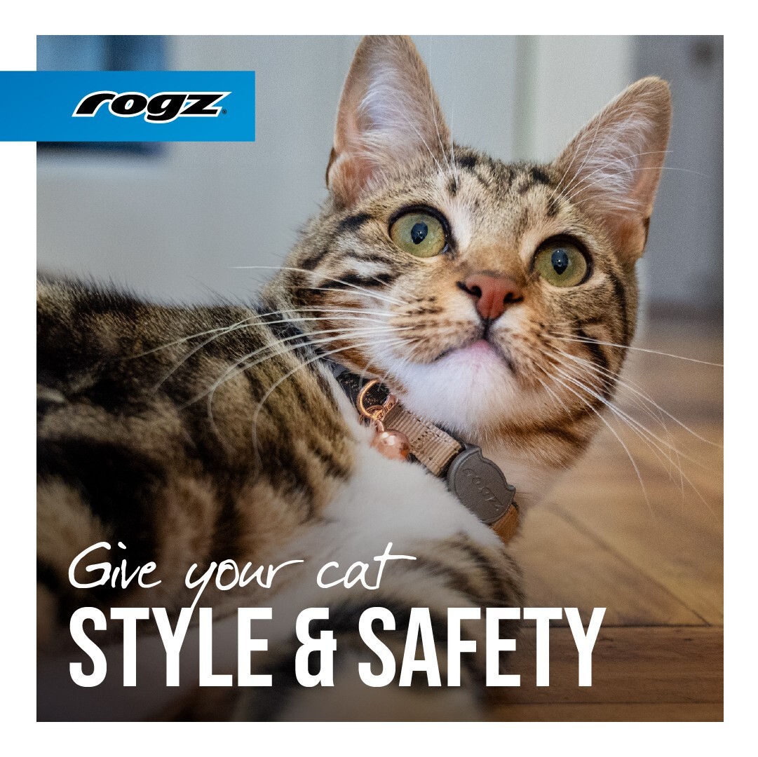 Rogz UrbanCat Safety Cat Collar