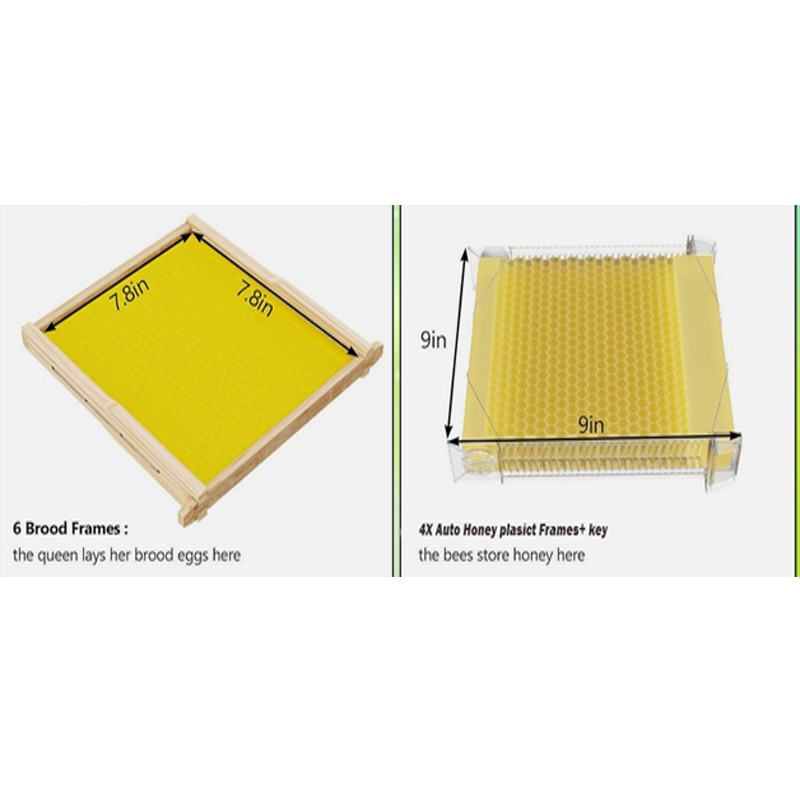 10X Auto Honey Hive Beehive Frames + Beekeeping Brood MINI 2 Layer Box House