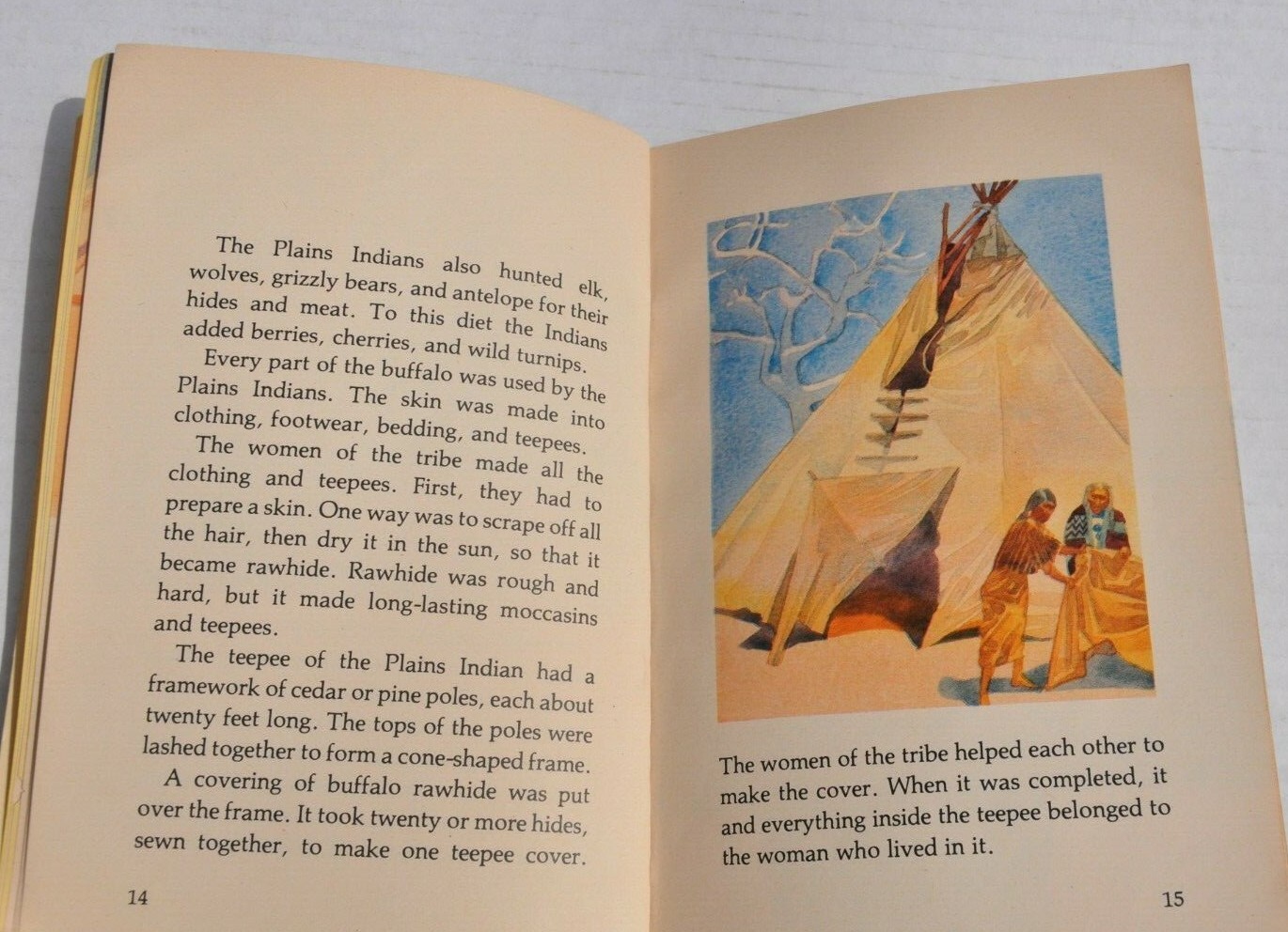 Indian of the Plains Rae Bains 1985 Children's Book Illustrated Vintage