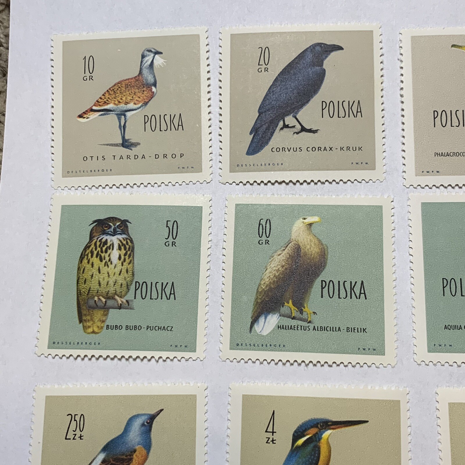 1960 POLAND MNH OG STAMP #935-946 COMPLETE SET PROTECTED BIRDS