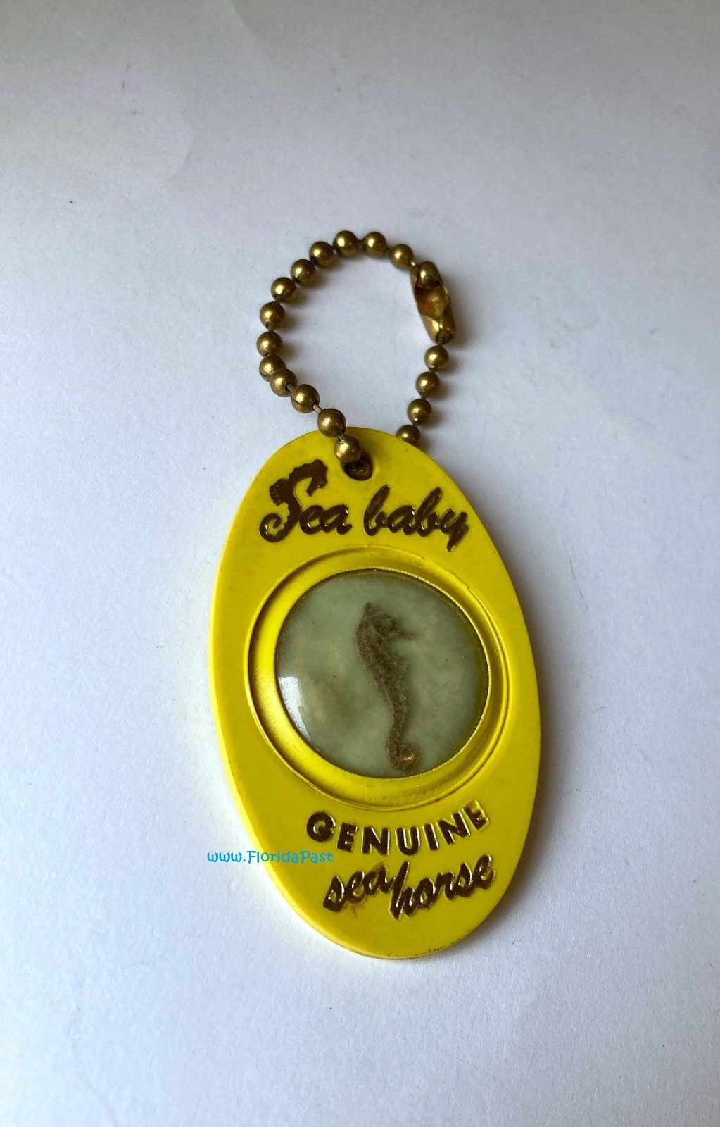 1950s 1960s Sea Baby Encased Seahorse Weeki Wachee Springs Florida Key Fob Chain