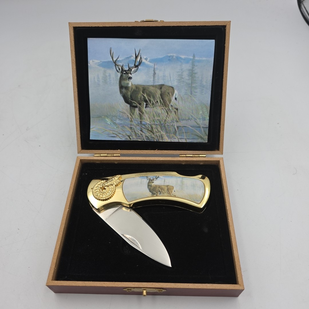 Gold Hunting Knife in Case with Buck Picture on Knife and Inside Box 7"