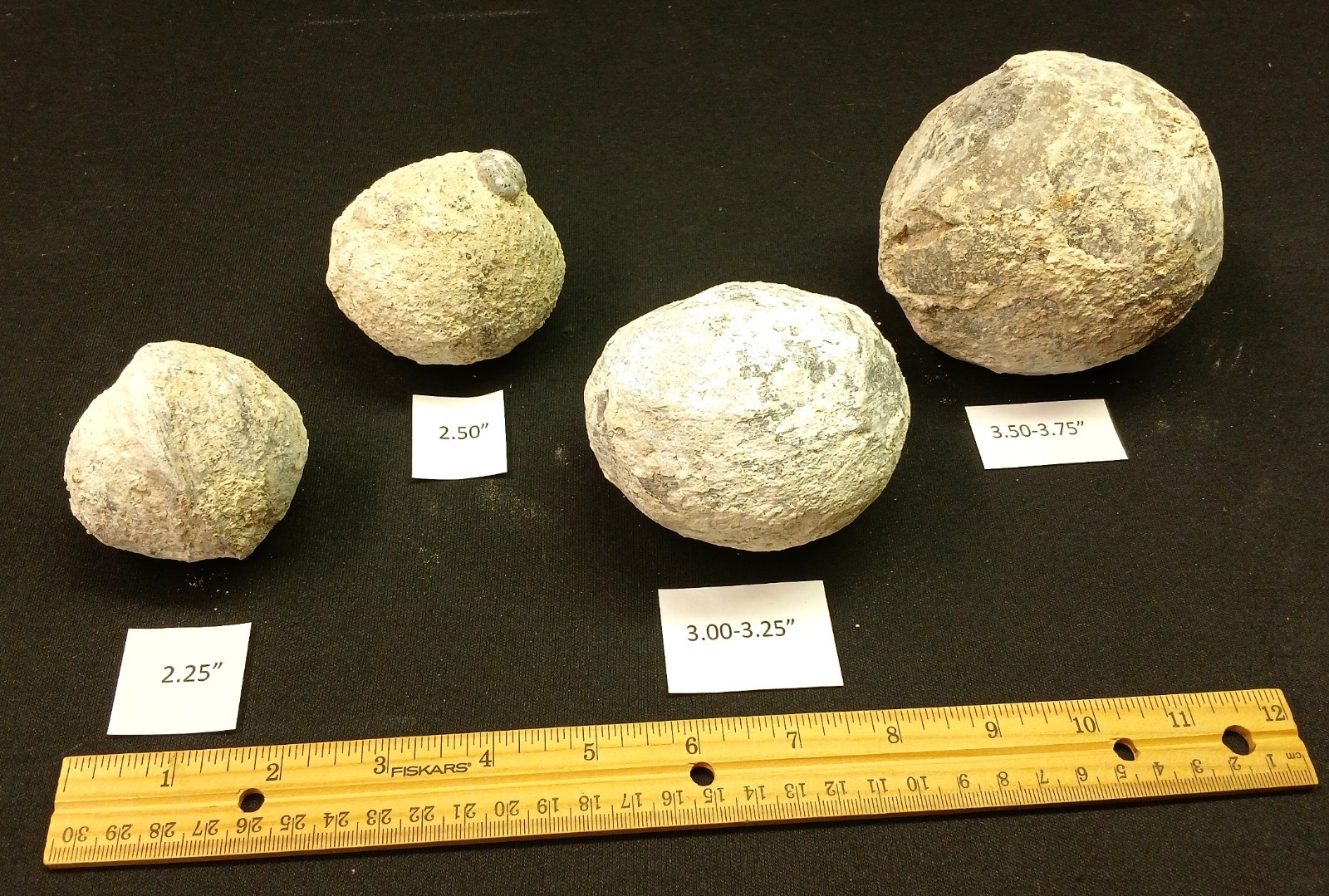 Whole Guaranteed Hollow Utah Dugway Quartz Agate Geode Thundereggs, Fluorescent!