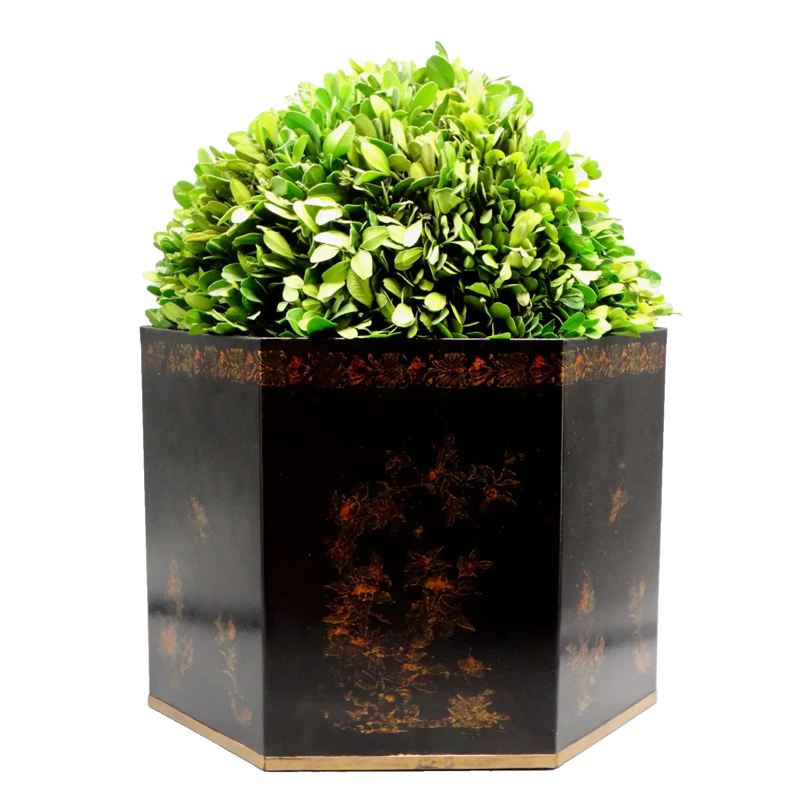 Italian Regency Style Toleware Jardinieres Preserved Boxwood Pair Gumps