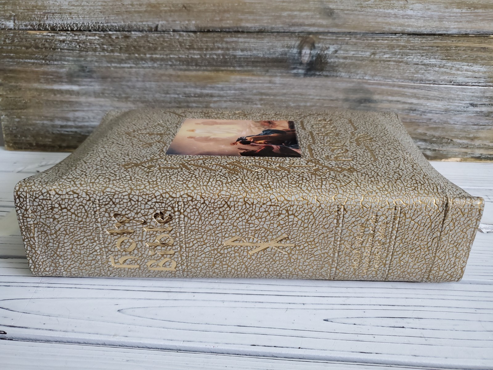 VTG Holy Bible Douay-Challoner & Confraternity Text 1951 White Illustrat Book