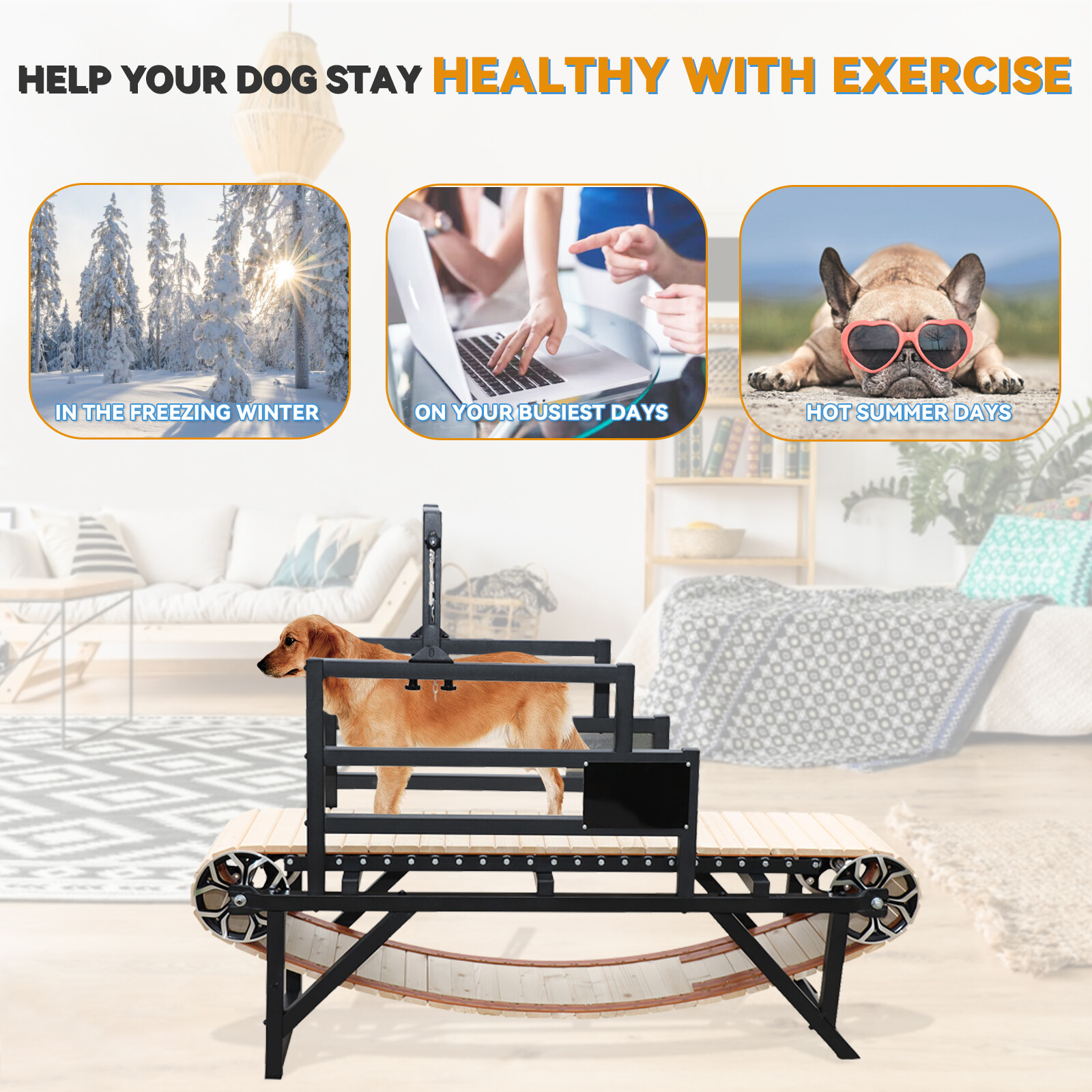 BowWowTread Large dog treadmill for Large Dogs Dog Treadmill Without Electricity