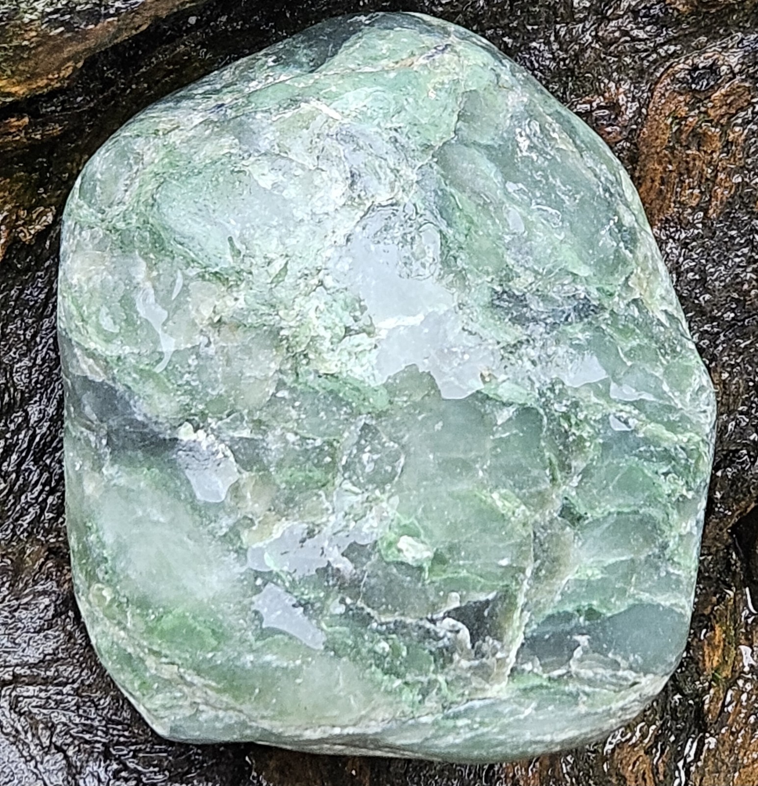 Nephrite Transluscent Jade Rough Jade Cove Willow Creek California 329 Grams