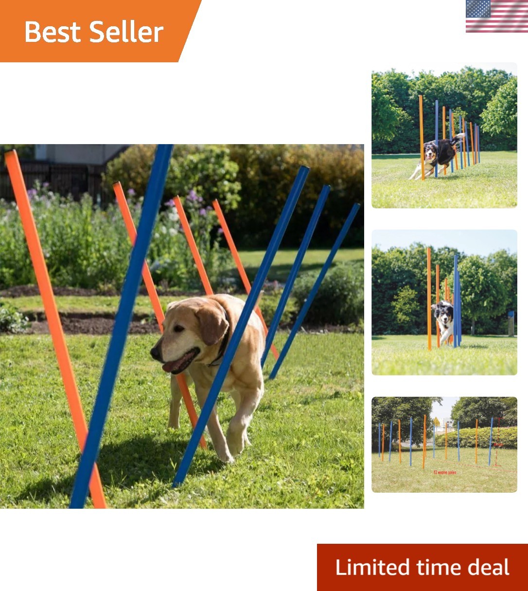 Portable 12 Weave Poles Agility Training Equipment for Dog Exercise Outdoors
