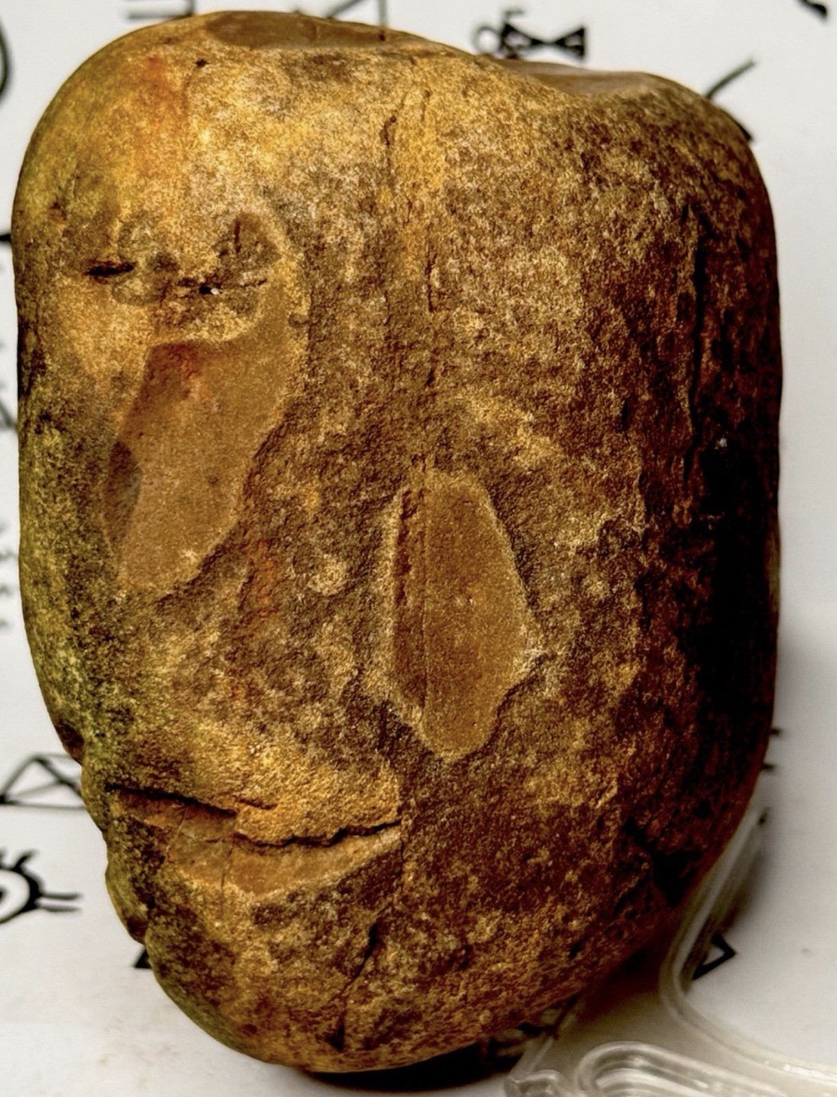 Native American Indian Authentic Artifact Stone Carved Effigy, 3 lb 2 oz • VA