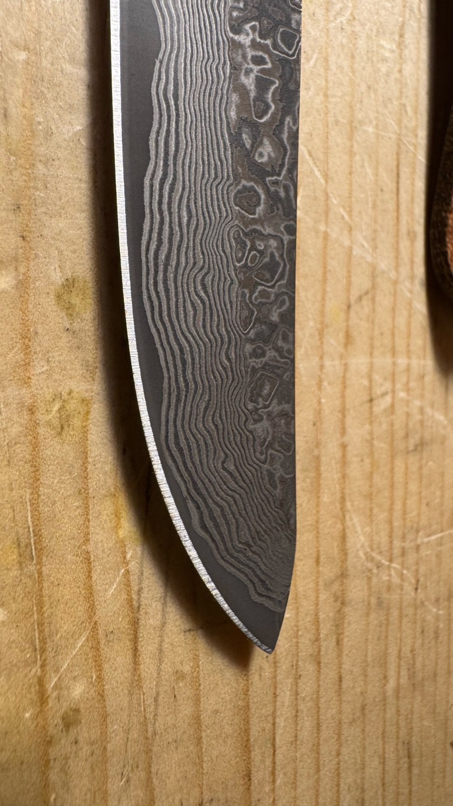 Santa Fe Stoneworks DamascUS AbLionE