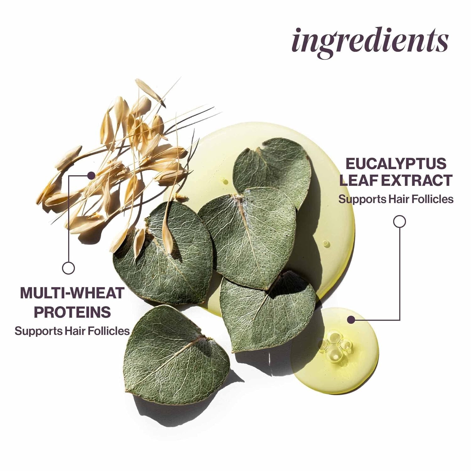 PUREOLOGY HYDRATE SHAMPOO/CONDITIONER COMBO! BRAND NEW! FRESH! SHIPS FREE!