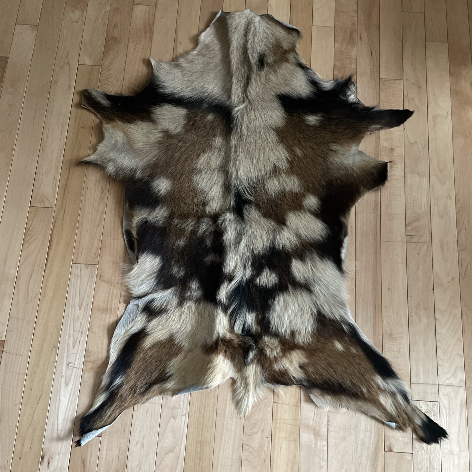 Real Goat Hide Skin Rug Multicolor  38” by 31”