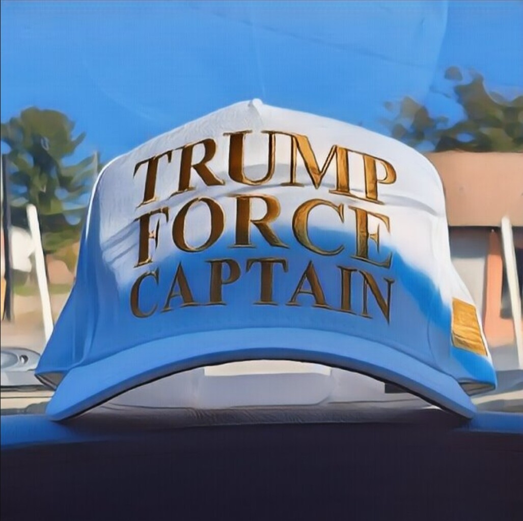 Rare Cali Headwear Trump Force Captain Hat