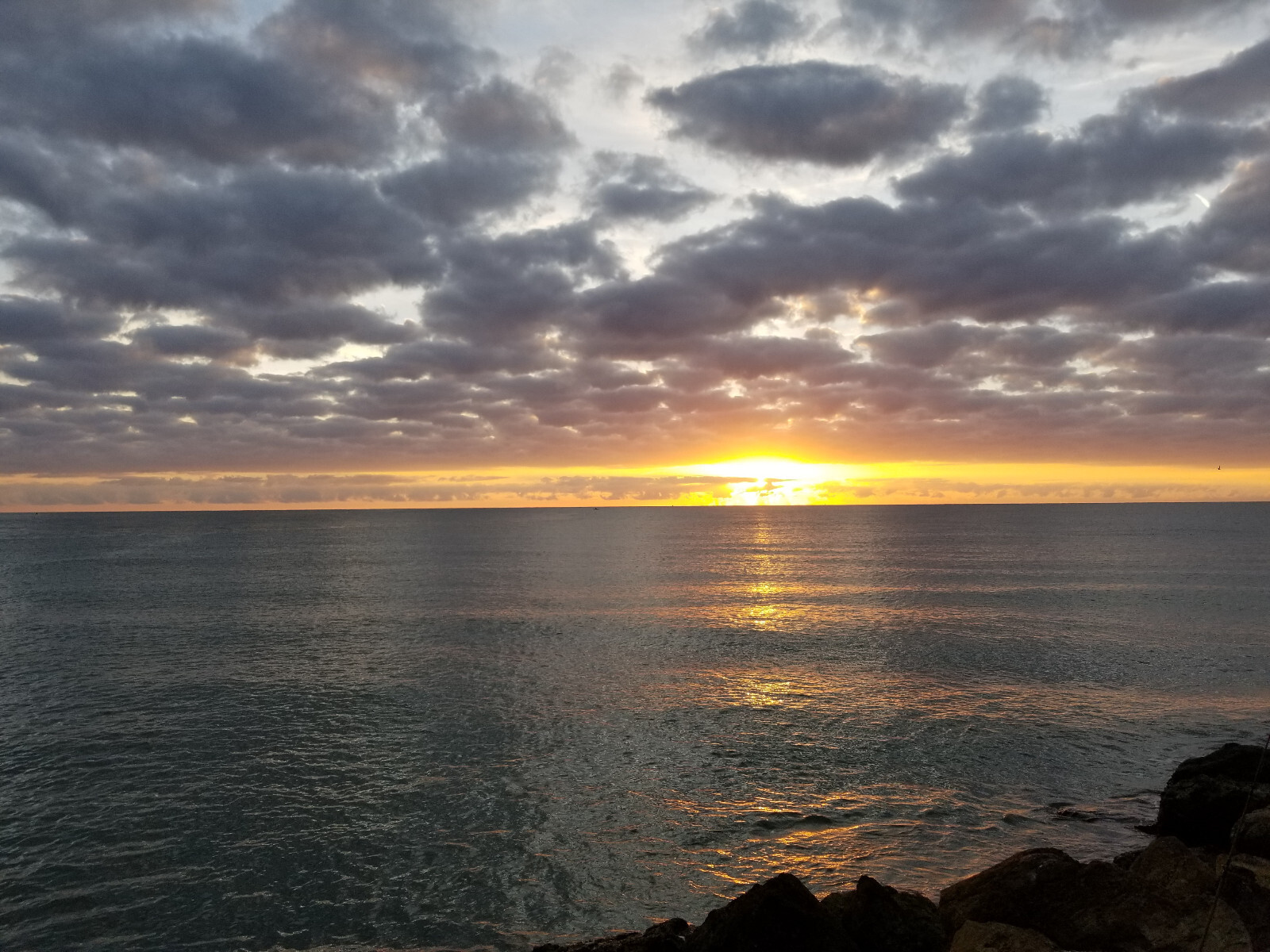 Surf Fishing Rigs, Hi-Low Rigs, The All Out - Catch All Package 17 Pompano Rigs