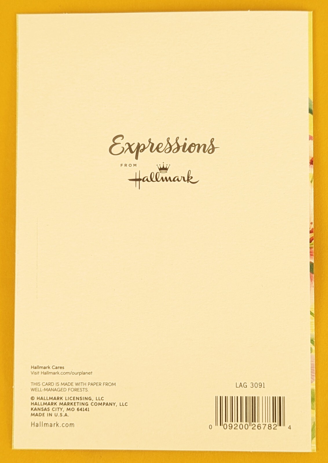 " To My Wife" Birthday Large Format Greeting Card 5.5x8.0"(+Envelope)