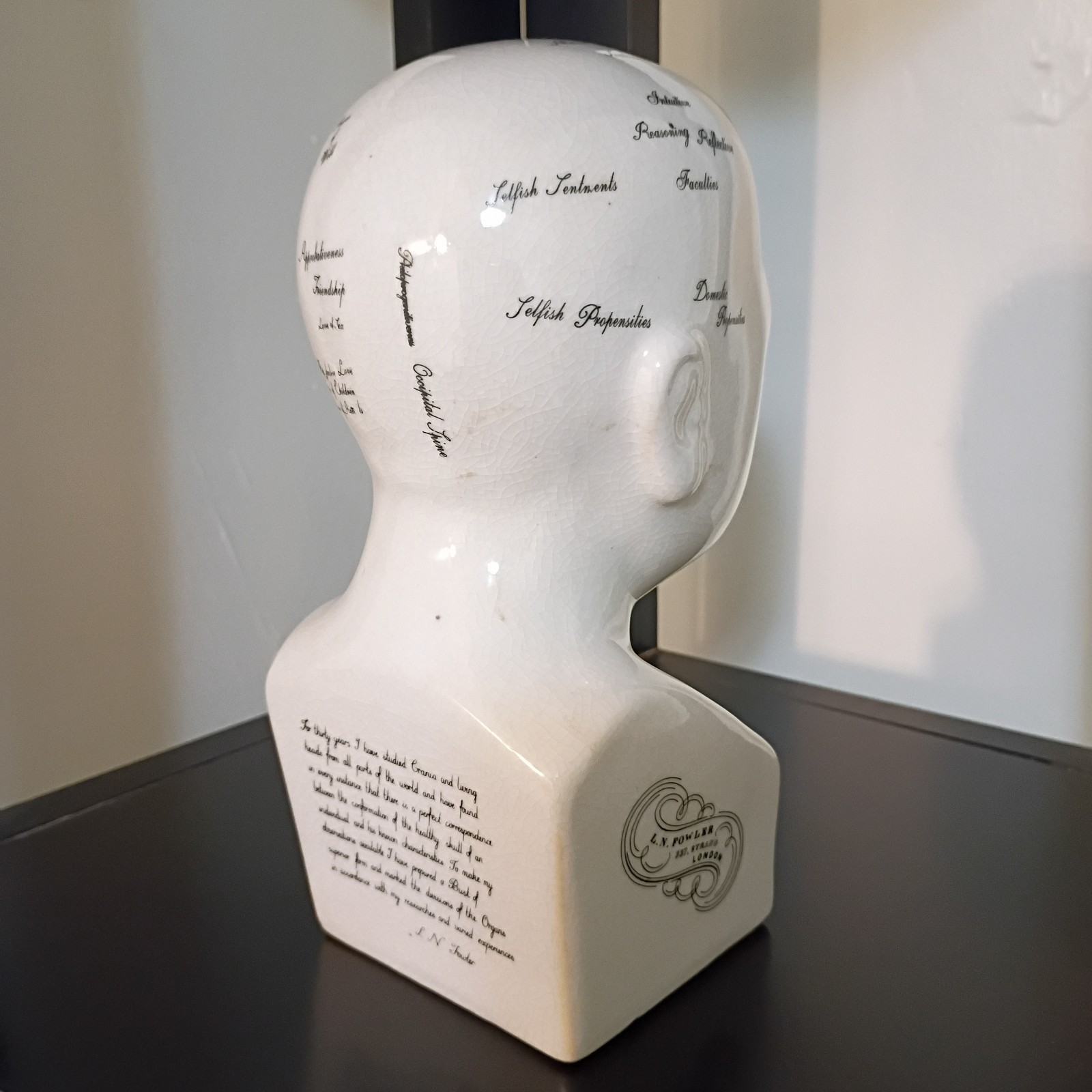 Porcelain L.N. Fowler Phrenology Scientific Psychology 8” Bust Head