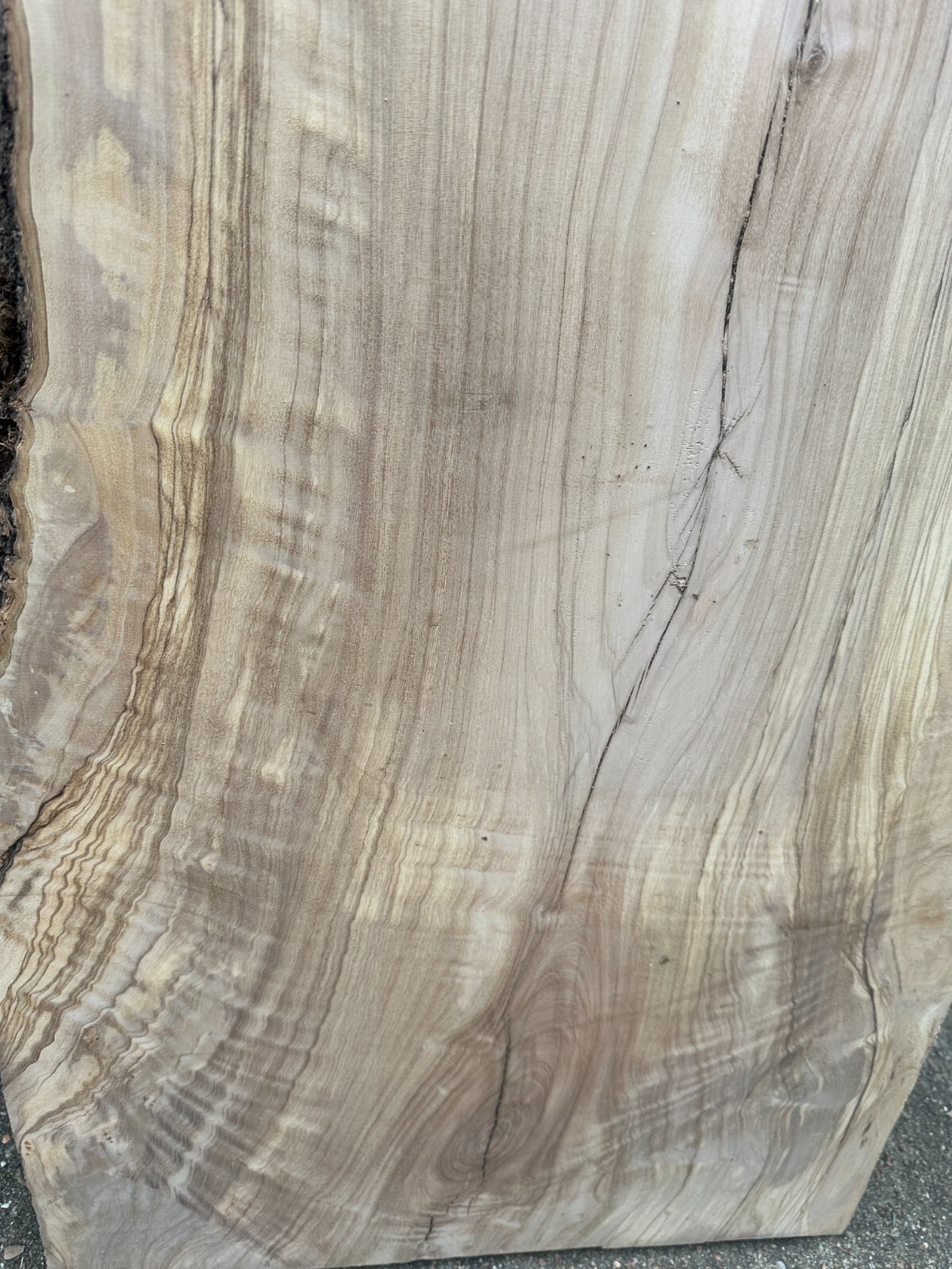 Italian Olive Wood Olivewood Kiln Dried, THE charcuterie board wood!