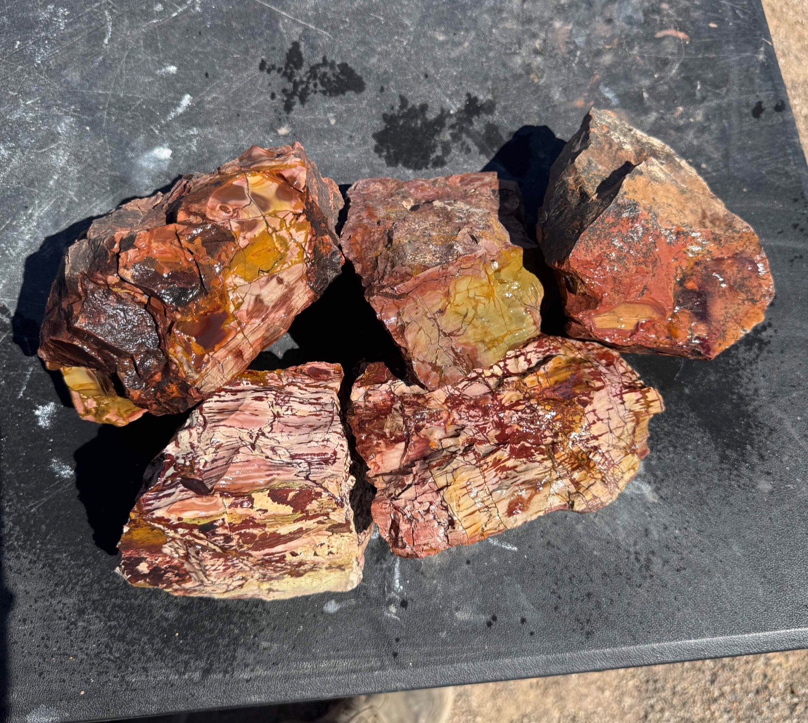 Dead Camel Jasper rough 21 pounds