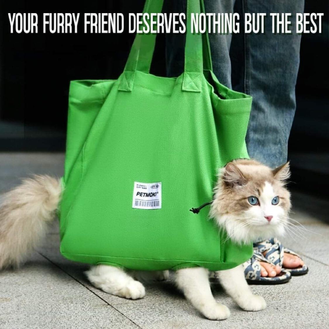 Cat and Dog Tote Bag Carrier Multifunctional Pet Backpack Exposed and Breathable