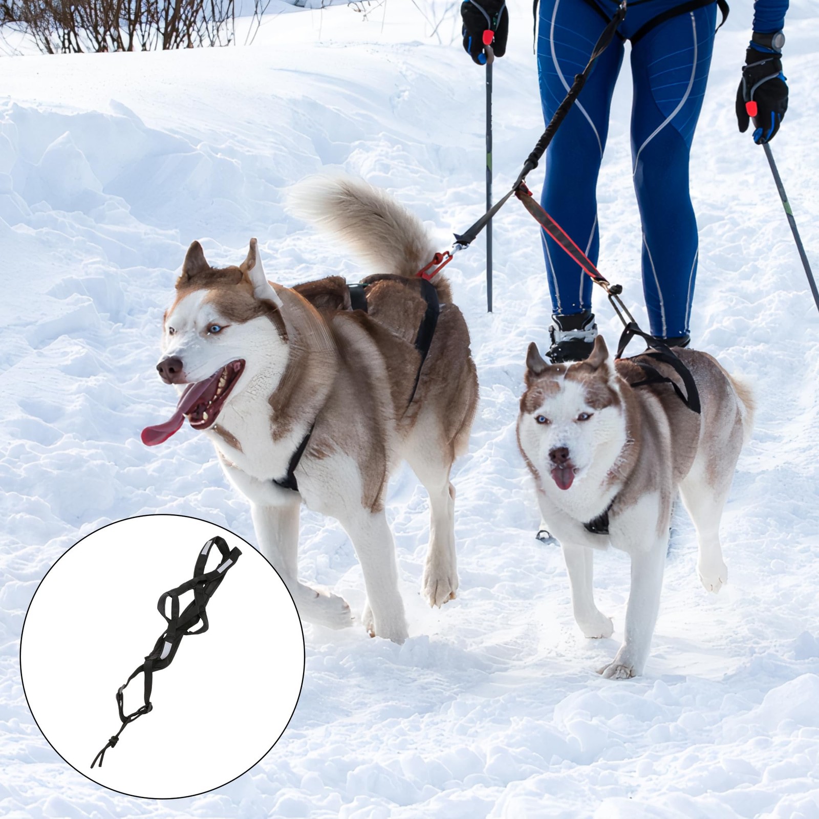 Dog Pulling Harness Reflective X-Back Harness for Sledding Exercise, Canicross S