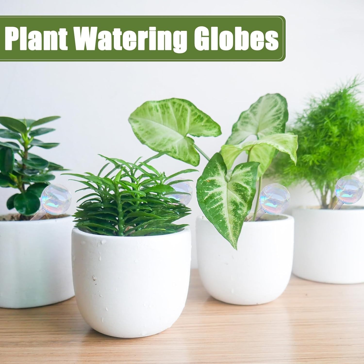 8Pcs Glass Self Watering Globes Rainbow Gradient for Plants