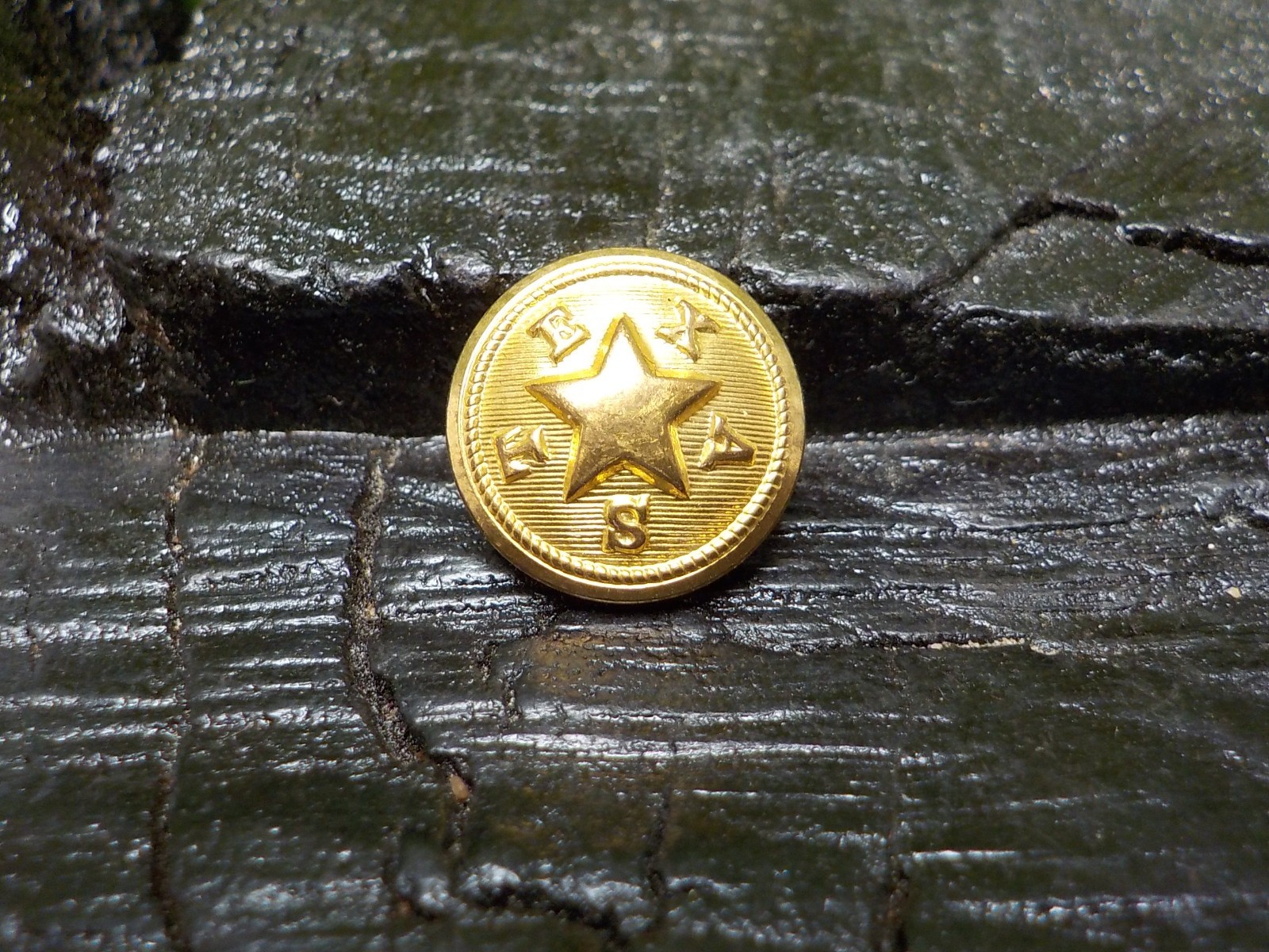 Texas State Seal Vest Button Loaded with Gold in Color w/ Free Button Case
