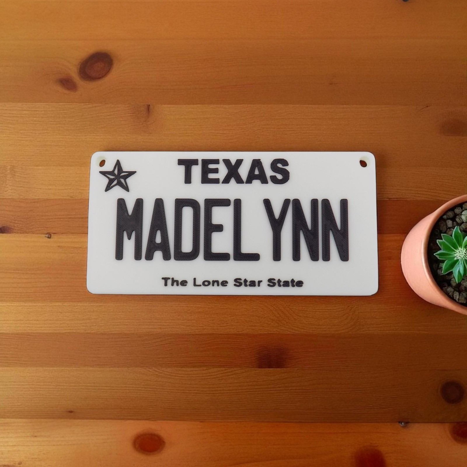Personalized Mini License Plate Tag – Custom 3D 4x2” State Plate for Kids