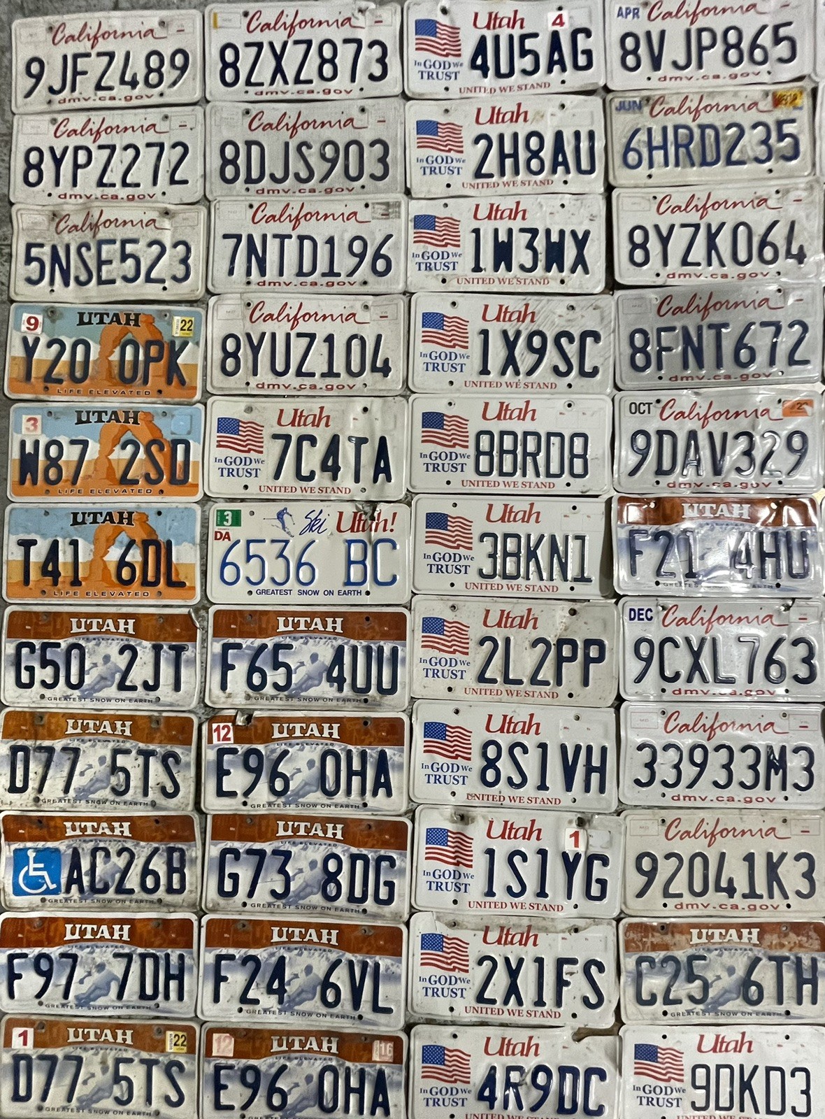 BULK LOT of 77 ROADKILL condition License Plates. FAST SHIPPING! Exact in Photo