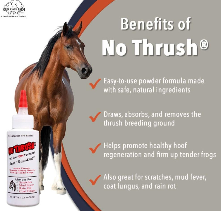 No Thrush Dry Powder Treatment for Horses by Four Oaks Farm Ventures - 2.5oz
