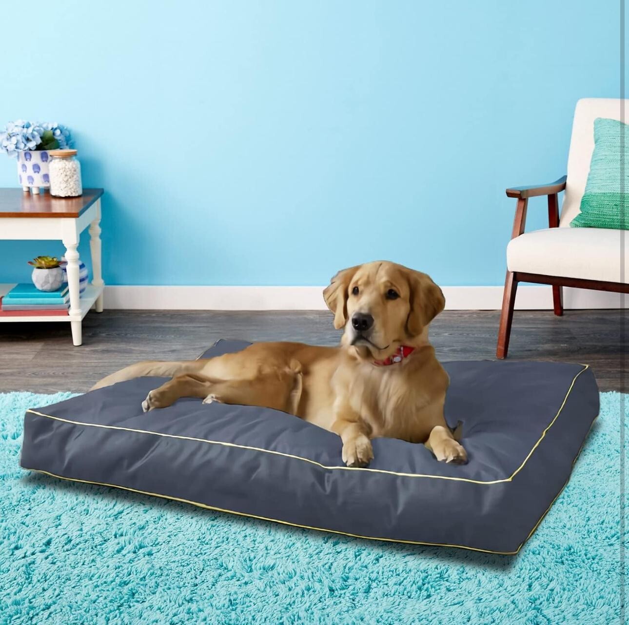 Dog Bed Cover  36L x 27W x 4H Inch, Dog Bed Cushion Cover  Washable