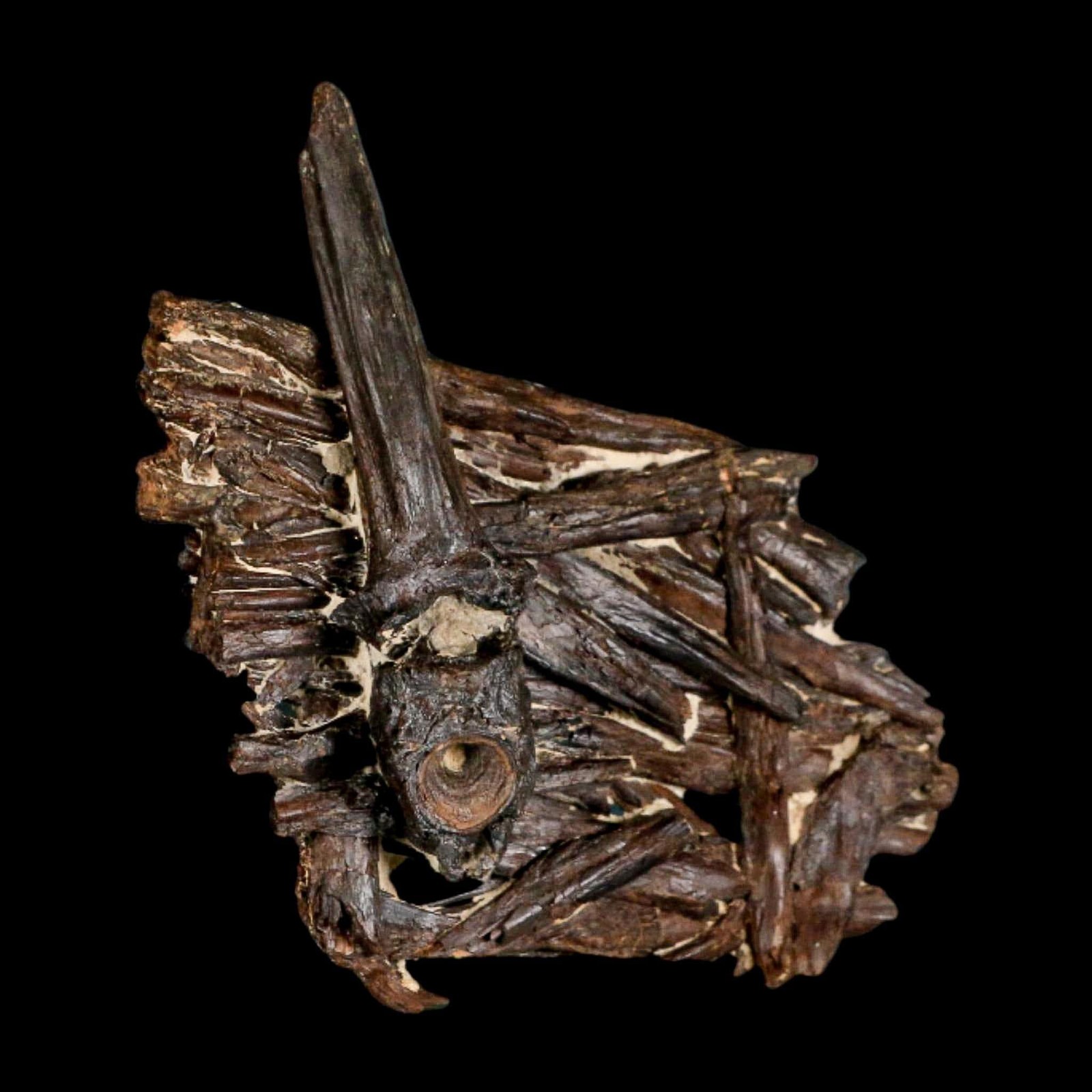 3.1" Unknown Fossil Vertebrae And Bones in Matrix Late Cretaceous Era Niobrara