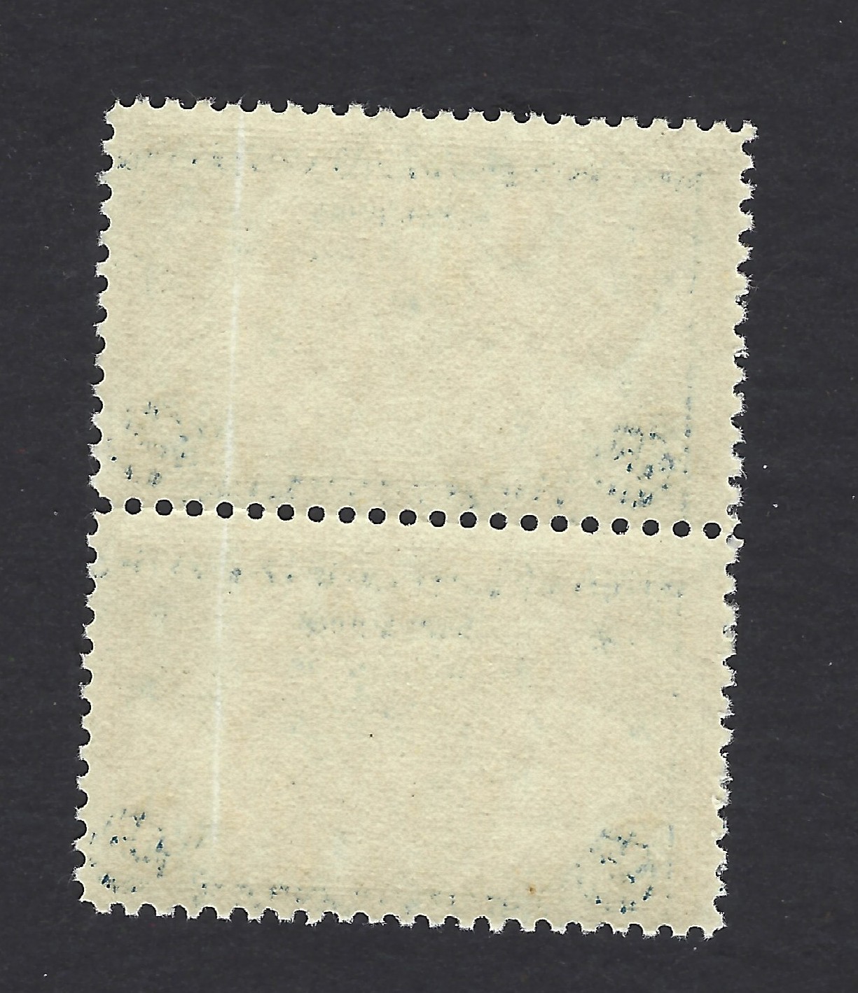 US Airmail Stamps, Scott # C20 -Pair, MNH