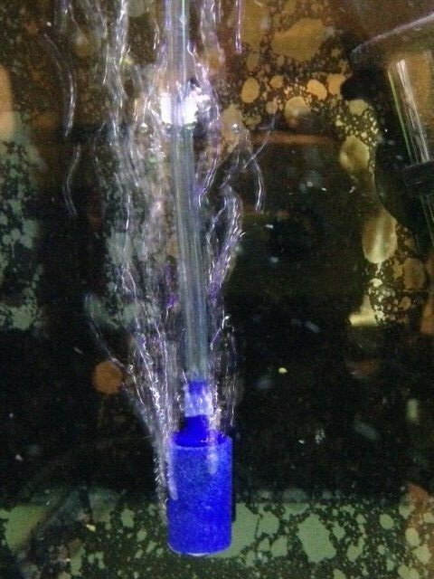 50 FT Aquarium Air Line Tubing for Fish Tank Air Pump . FAST SHIPPING.