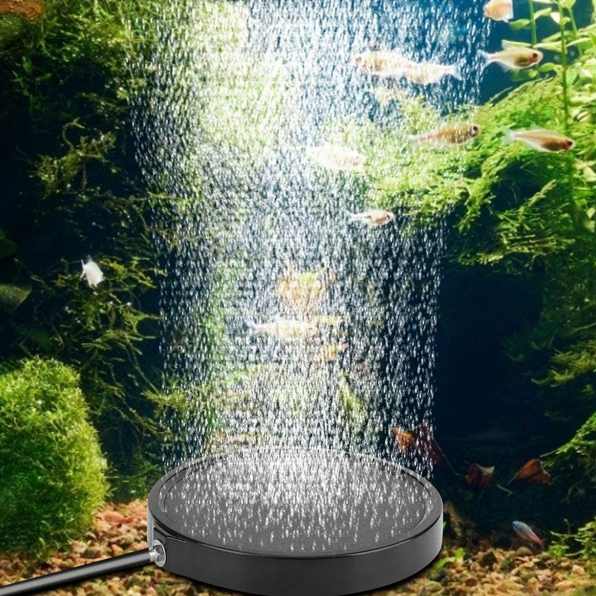 Bubble Air Disk Stone Hydroponics Oxygen Aerator Aquarium Fish Tank Pond Pump