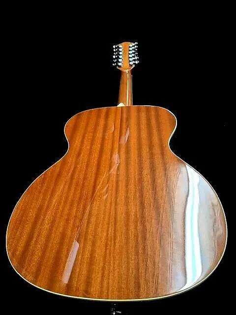 GREAT PLAYING NEW 12 STRING ACOUSTIC DOBRO RESONATOR GUITAR