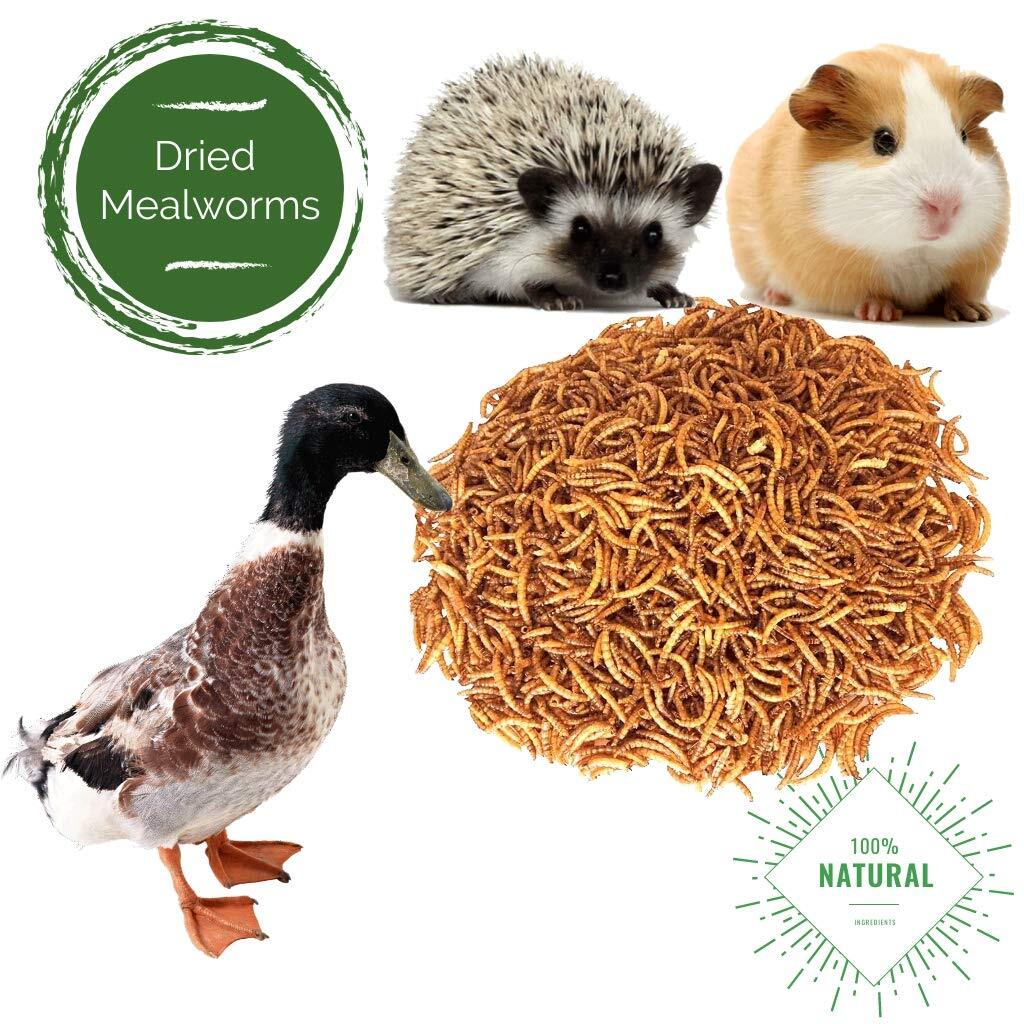 22LB Dried Mealworms Bulk Non-GMO Organic for Wild Blue Bird Chickens Hen Treats