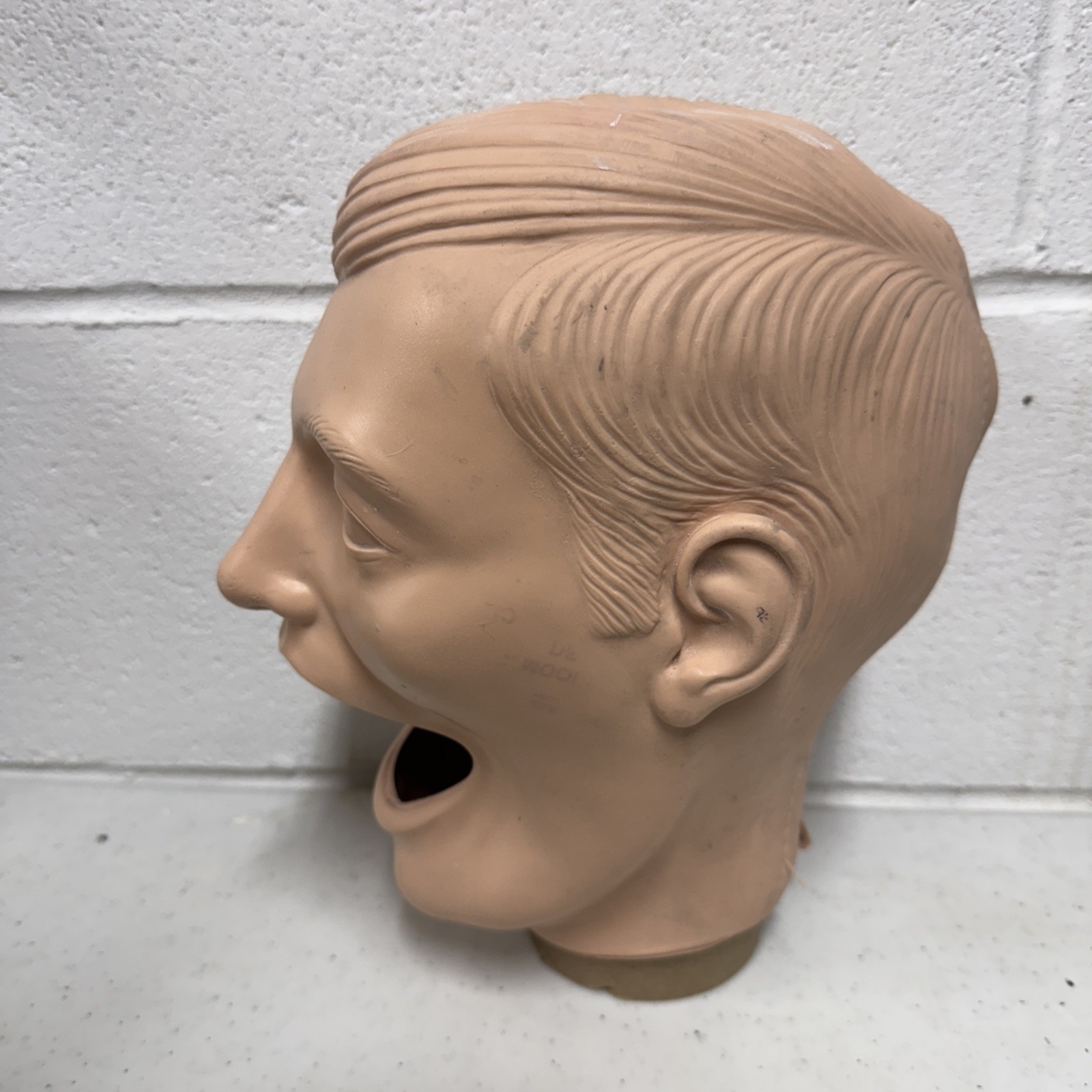 Columbia Dentoform Dental Manikin Head Shroud For ADEX CDCA Exam Haunted House