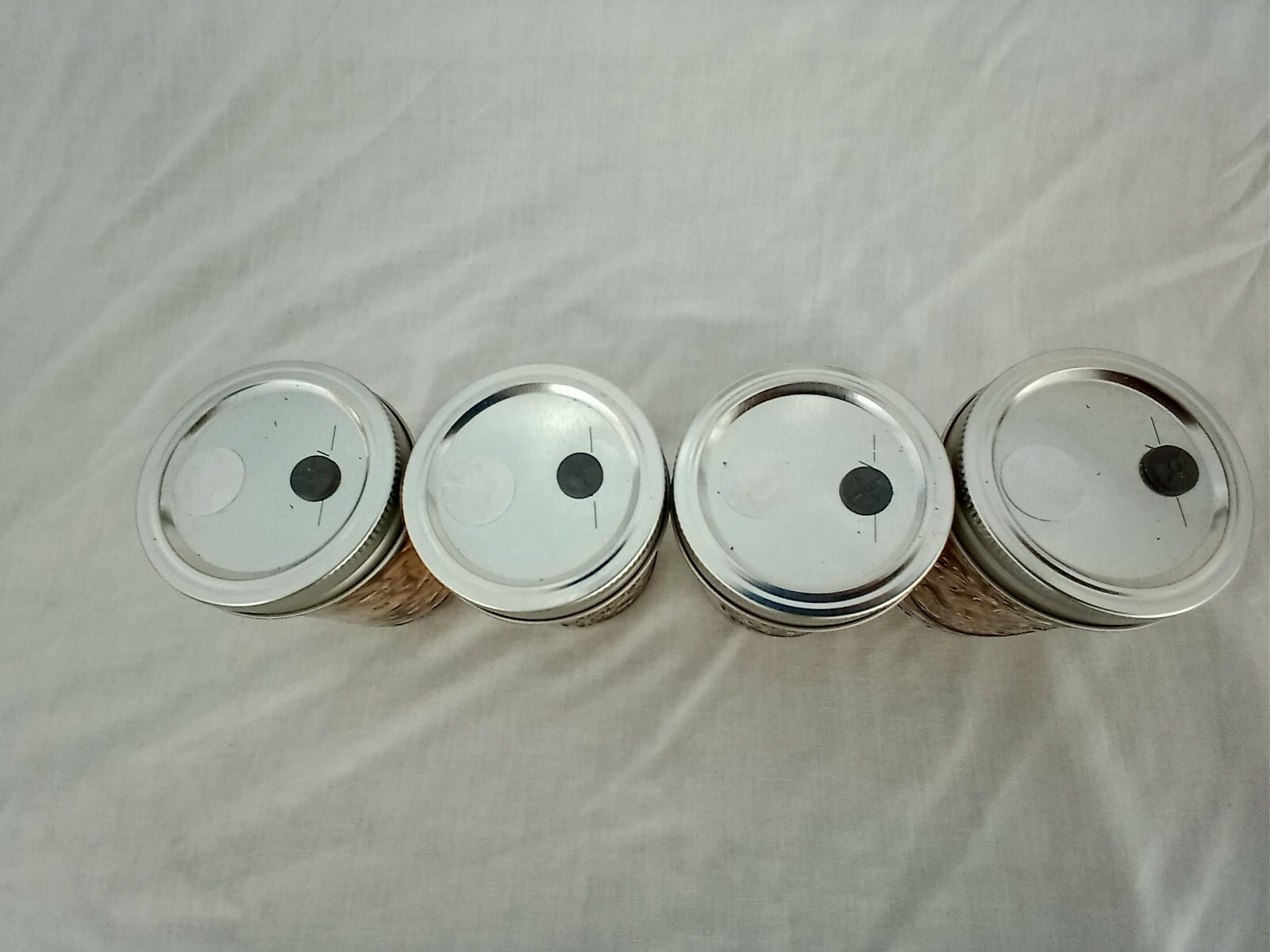 1/2 PINT Mushroom Jars READY Sterilized Substrate Grain Grow Fast SHIP [C]