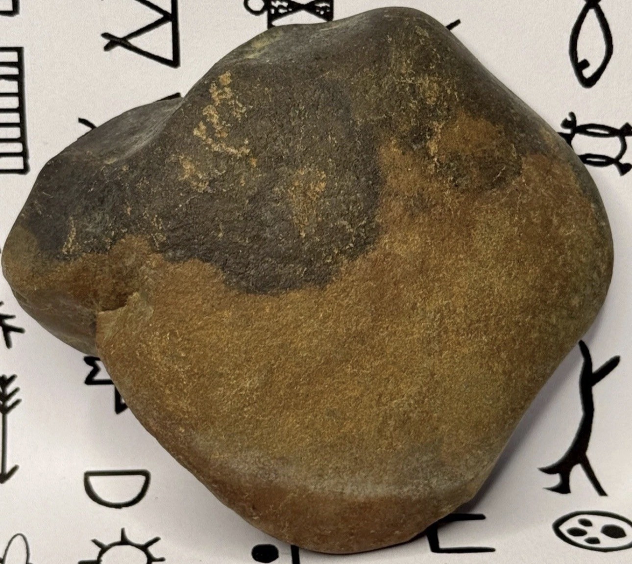 Native American Indian Authentic Artifact Stone Carved Effigy, 1 lb 3 oz • VA