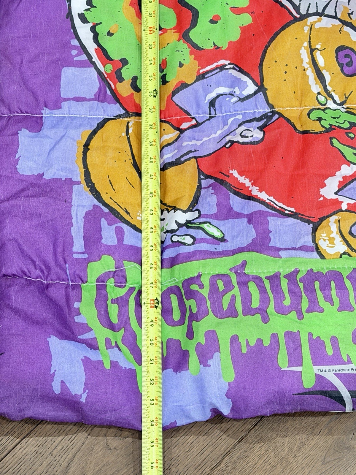 Vintage Goosebumps Skateboarding Mummy Sleeping Bag RL Stine Halloween 27x54