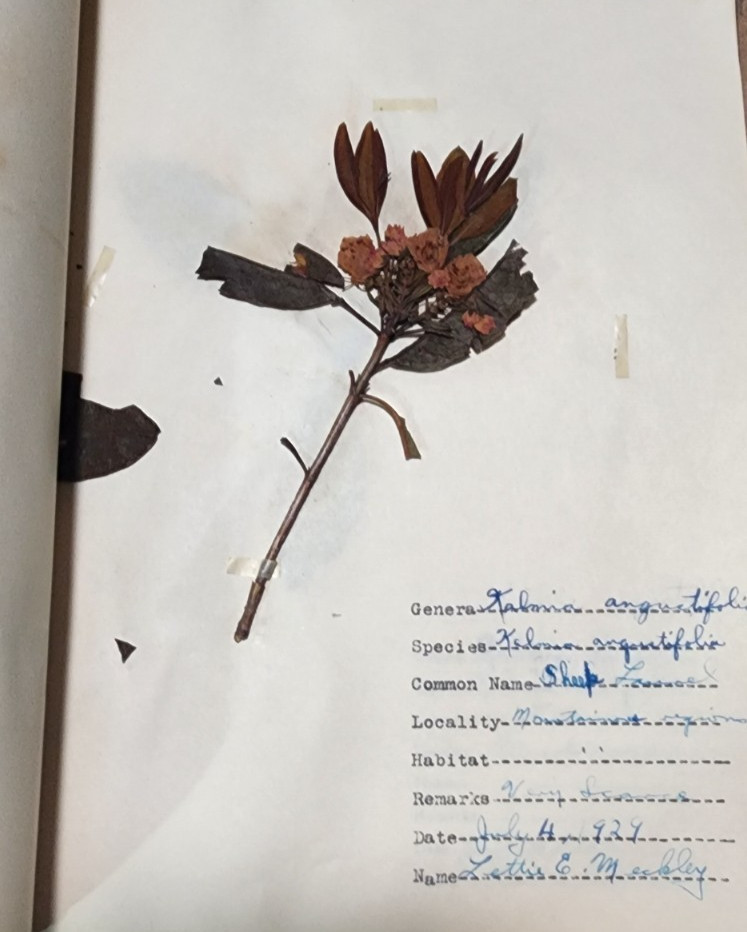 1900 Antique ATLAS HERBARIUM PLANT SPECIMINS Beckley Cardy Co. Completed 1929