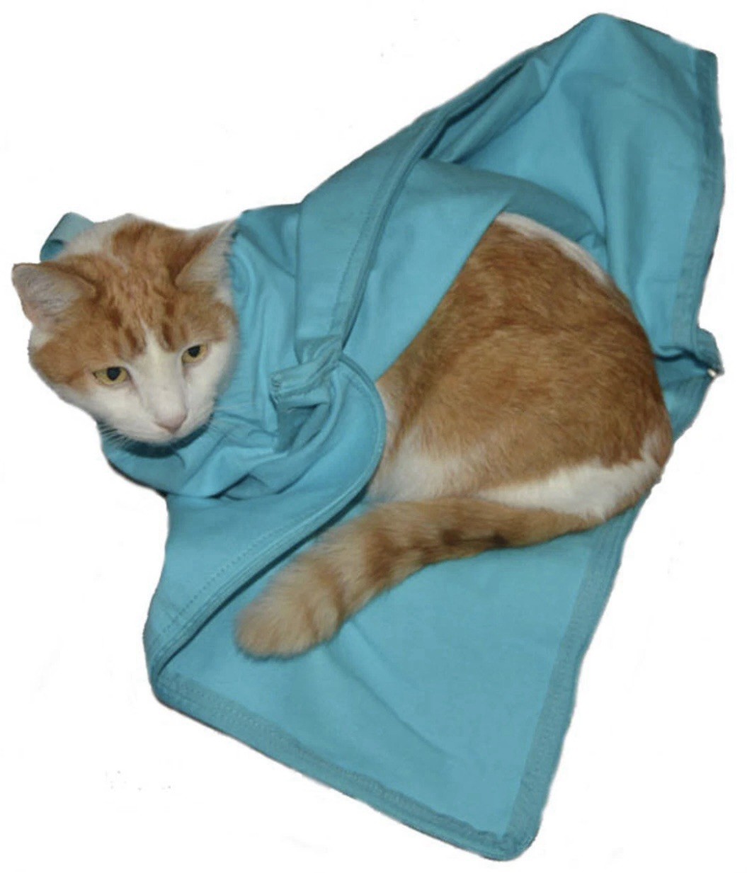 Cat-In-The-Bag Cozy Comfort Sack Bag Carrier Blue L-XL NWOT