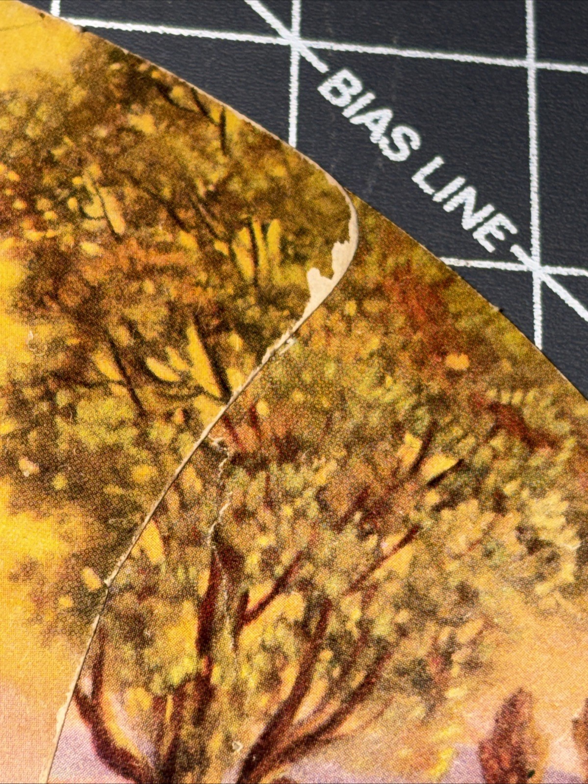 Vintage Lot Of 3 Advertising Cardboard Handheld Fans