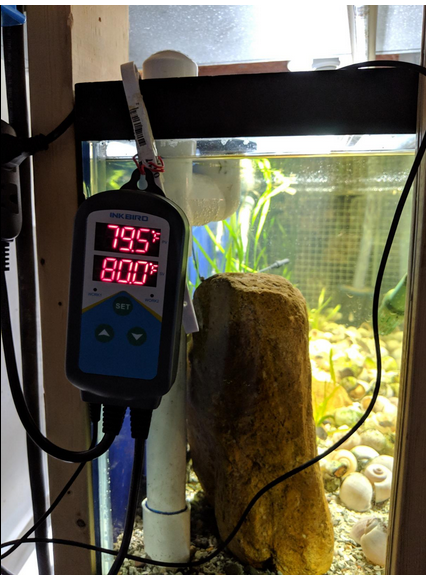 Inkbird Aquarium Thermostats Temperature Controller ITC-306T Waterproof Sensor